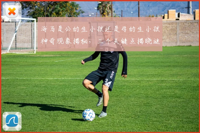 海马是公的生小孩还是母的生小孩神奇现象揭秘，三个关键点揭晓谜底，不容错过